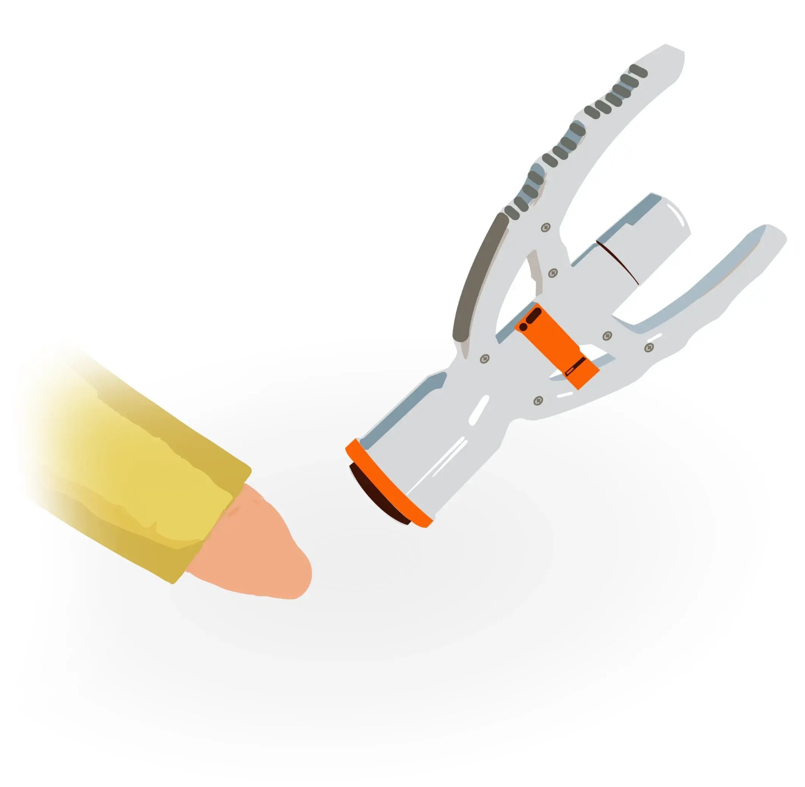 ZSR Circumcision